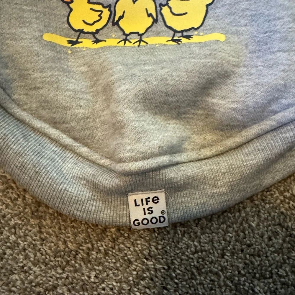 New Life is Good Chicks Easter Spring Gray Dog Hoodie Extra Small XS